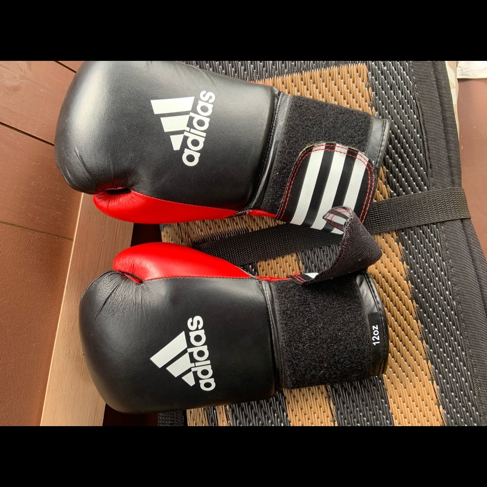 Addidas Boxing gloves with title boxing bag
